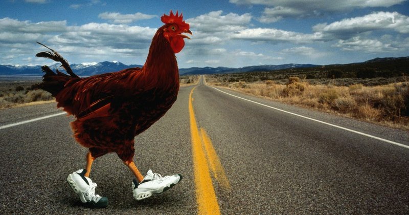 Chicken road game, chicken road online